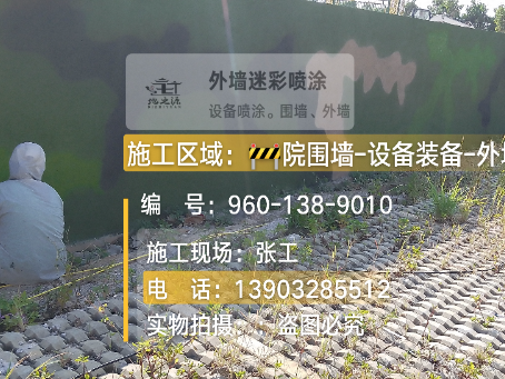 雅安外墙迷彩漆材料价约 45-60 元 /k