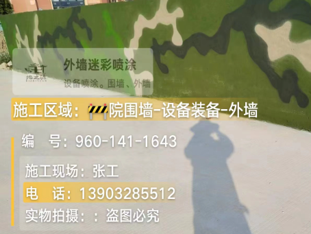 雅安 迷彩漆喷涂价格（按平方米计费）