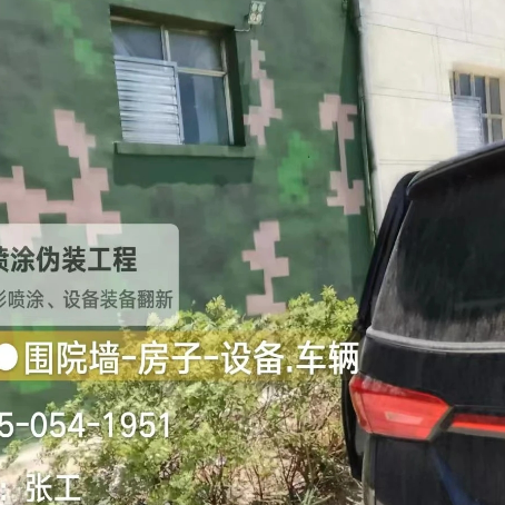 雅安数码迷彩漆施工